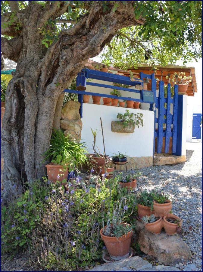 Studio Casa Formosa Olhao Luaran gambar